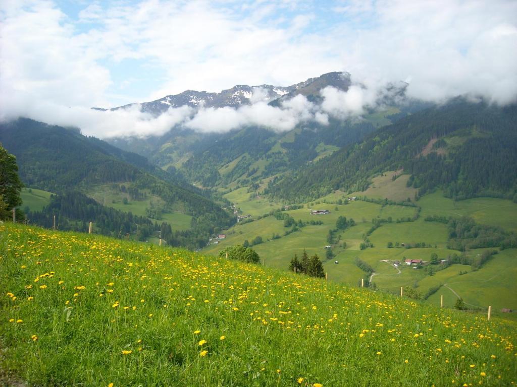 Haus Rieder Georg Apartment Maria Alm am Steinernen Meer Exterior foto
